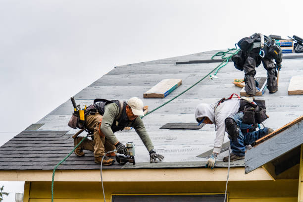 Professional Gutter Installation technician working in Lowell, FL